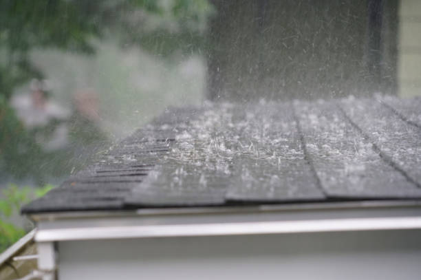 Best Skylight Installation and Repair  in Watts Mills, SC