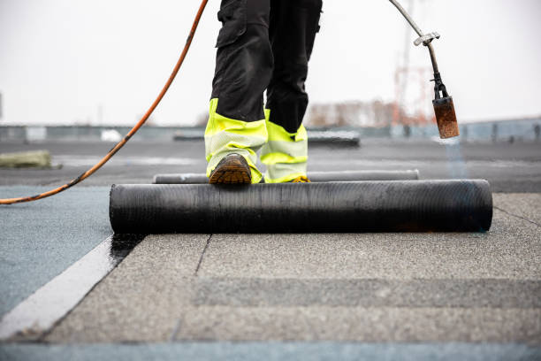 Best Sheet Metal Roofing  in Watts Mills, SC